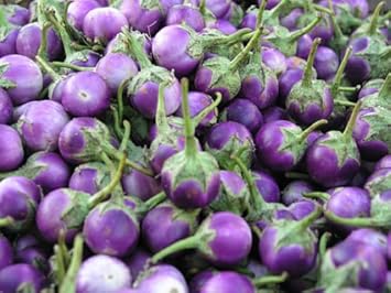 Purple Eggplant Vegetable Seeds for Planting - 100 Pcs pcs