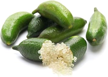 100 Pcspcs Lime Fruit Seeds - High Yield for Growing Fresh Limes 100 Pcs pcs