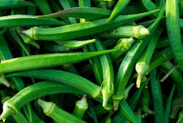 Okra vegetable seeds - NON GMO Seeds