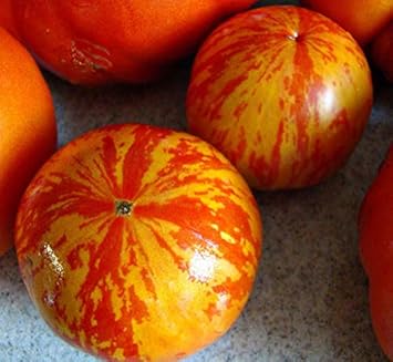 Yellow Orange Tomato Seeds for Planting heirloom & Non-GMO Seeds