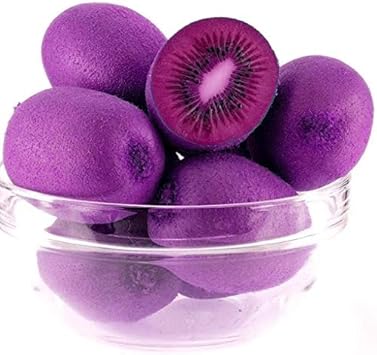 Fresh Violet Kiwi Fruit Seeds for Planting - Premium & High Quality,Non-GMO Seeds