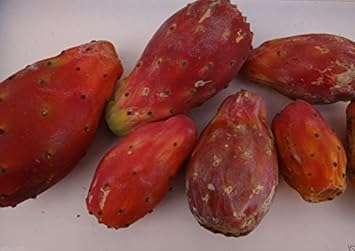 Red Opuntia Ficus Indica Fruit Seeds - Unique Red Cactus Fruit for Your Garden, Heirloom Seeds