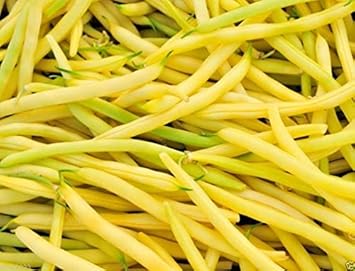 Yellow Bean Seeds for Planting - Fresh Vegetable heirloom & Non-GMO Seeds