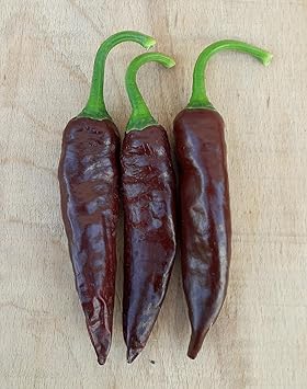 Thick Brown Chili Seeds for Planting - 100 Pcs pcs