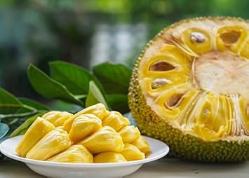 Tomatillo Physalis philadelphica seeds for planting in home garden