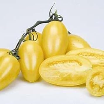 Cream Tomato Vegetable Seeds for Planting - 100 Pcs pcs