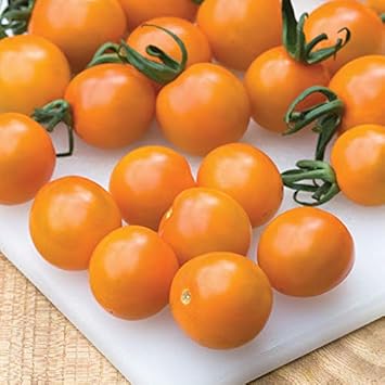 Eggplant Vegetable Seeds for Planting – Purple Variety 100 Pcs pcs