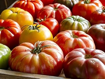 Big Huge Tomato Seeds for Planting, Mixed, 100 Pcs pcs