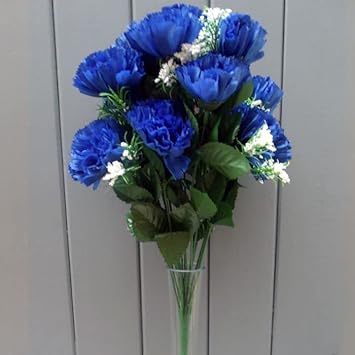 Deep Blue Carnation Flower Seeds for planting in home garden
