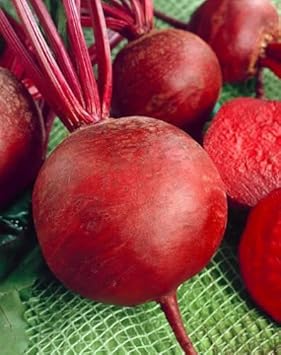 Red Beetroot Seeds for Planting - Fresh Vegetable 100 Pcs pcs