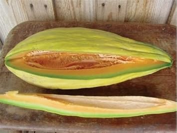 Orange Cantalupo Almizcle Fruit Seeds for Planting - Unique Orange Melon Variety