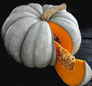 Grey Pumpkin Vegetable Seeds for Planting – Heirloom, Non-GMO Seeds for a Healthy Harvest