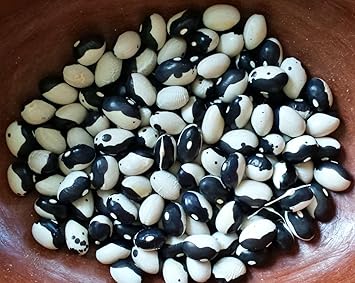 Orca Bean Plant Seeds for Planting - 100 Pcs pcs