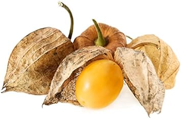 Orange Tomatillo Physalis philadelphica seeds for garden planting
