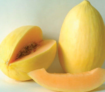 Crenshaw Melon Seeds, Grow Your Own Sweet, Juicy Melons 100 Pcs pcs