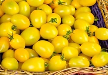 Yellow Tomato Seeds for Planting, 100 Pcs pcs