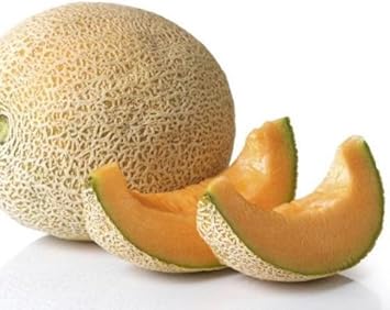 Yellow Cantaloupe Fruit Seeds for Gardening – 50 Seeds 100 Pcs pcs
