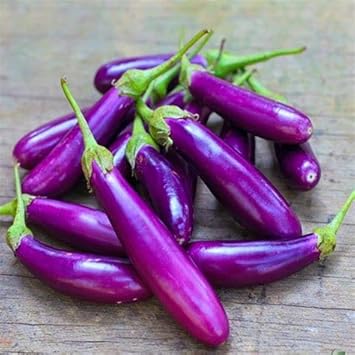 Eggplant Sweet Fruit Seeds for Planting Violet 100 Pcs pcs