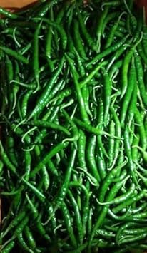 Green Pepper Tree Seeds for Planting - heirloom & Non-GMO Seeds