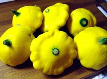 Yellow Scallop Vegetable Seeds for Planting heirloom & Non-GMO Seeds