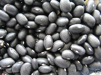 Black Coco Bean Seeds for Planting - 100 Pcs pcs
