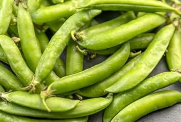Green Pods Vegetable Seeds for Planting heirloom & Non-GMO Seeds