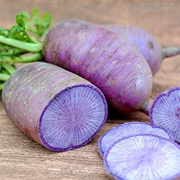 Radish Seeds for Planting, Violet, 100 Pcs pcs