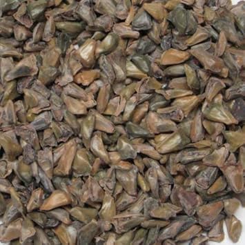 Organic Abies Koreana Plant Seeds for Planting ƒ?? Heirloom, Non-GMO