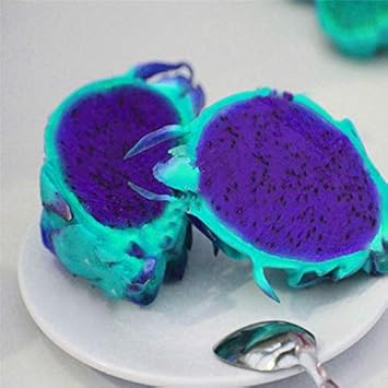 Pitaya Fruit Seeds Easy to Grow Blue 100 Pcs pcs
