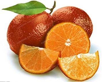 Red Lemon Fruit Seeds for Planting - Non-GMO, Sweet and Tangy Fruit for Your Garden