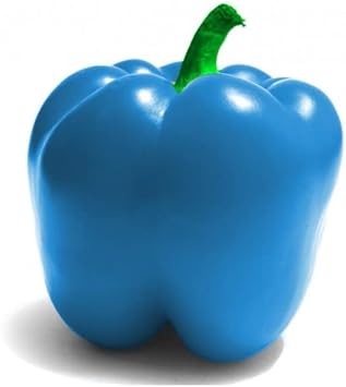 Sky Blue Chili Seeds for Planting - 100 Pcs pcs