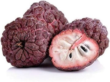 Chirimoya Roja Fruit Seed Set for Sweet, Unique Tropical Fruit 100 Pcs pcs