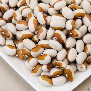 Brown White Calypso Bean Seeds for Planting - heirloom & Non-GMO Seeds