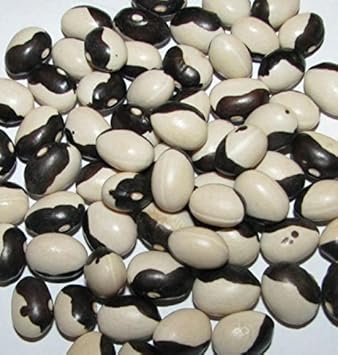 Black White Okra Bean Seeds for Planting heirloom & Non-GMO Seeds