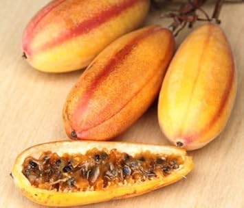 Yellow Passiflora mollissima fruit seeds