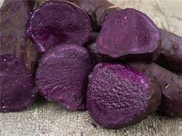 Deep Purple Sweet Potato Ipomoea batatas seeds for planting in urban garden