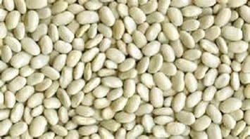 White Bean Seeds for Planting - heirloom & Non-GMO Seeds
