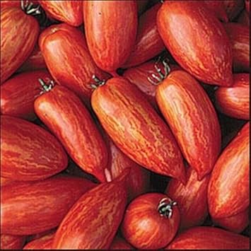 Red Speckle Tomato Seeds for Planting,heirloom & Non-GMO Seeds
