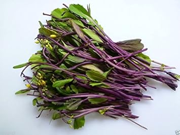 Purple Kosaitai Vegetable Seeds for Planting heirloom & Non-GMO Seeds