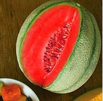 Cantaloupe Fruit Seeds for Planting Pink 100 Pcs pcs