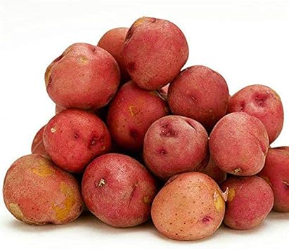 Red Potato Vegetable Seeds for Planting- Heirloom & Non-GMO Seeds