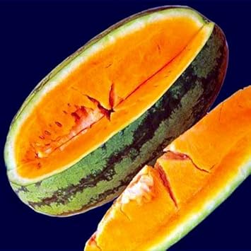 Orange Watermelon Fruit Seeds for Planting - Grow Refreshing and Sweet Watermelons