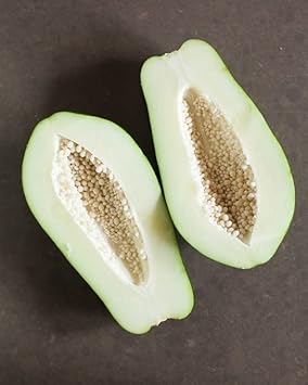 White papaya Carica papaya seeds for home garden