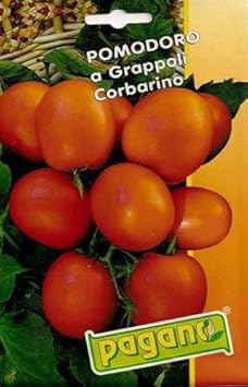 Orange Grape Tomato Seeds for Planting -heirloom & Non-GMO Seeds