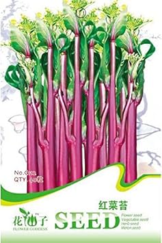 Red Beet Root Seeds for Planting - Healthy Vegetable - heirloom & Non GMO Seeds