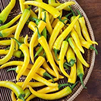 Chili Brazilian Seeds for Planting Light Yellow - 100 Pcs pcs