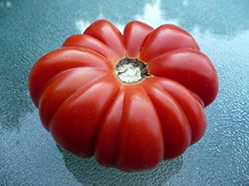 Red Costoluto Tomato Seeds for Planting - heirloom & Non GMO Seeds