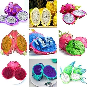 Fresh Pitaya Fruit Seeds Easy to Grow Mixed 100 Pcs pcs