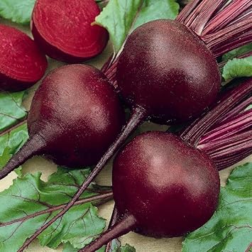Beetroot Vegetable Seeds for Planting - 50 pcs