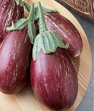Eggplant Seeds for Planting Red - 100 Pcs pcs
